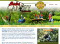 akzipline.com