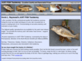 justfishtaxidermy.com
