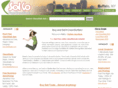 used-buffalo-evening-news-classified.com