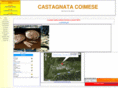 castagnata.com