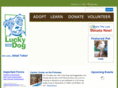 luckydoganimalrescue.org