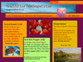 southfloridasugarstar.com