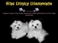 thedinkydiamonds.nl