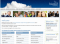 blueleafconsult.com