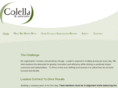 colellaassociates.com