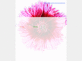 italkbbpromotion.com