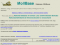 mollbase.de