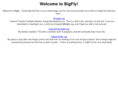 bigfly.org