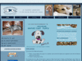 greyhoundsupporttransport.com