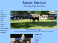 jameseustace.co.uk