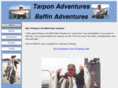 baffinadventures.com