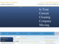 emptymirrorcleaners.com