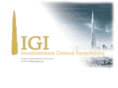 igicontant.com