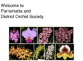 parramattaorchidsociety.org