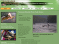 tennesseemountainriversguideservice.com