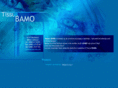 bamogroup.com