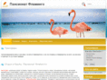 flamingo7a.com