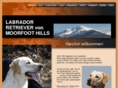 moorfoot-hills-labradors.com