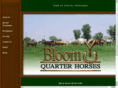 bloomquarterhorses.com