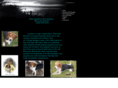 moonrisekennel.com