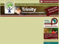 trinityglobalsupport.com