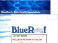 blueroof.co.uk