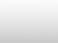 firelinedistribution.com