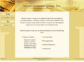 meratieconomicgroup.com