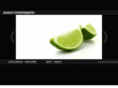 sashagitin.com