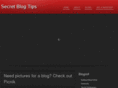 secretblogtips.com
