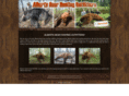 abblackbearhunts.com