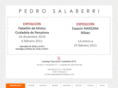 pedrosalaberri.com