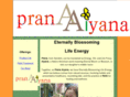 pranaaiyana.net