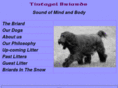 tintagelbriards.com