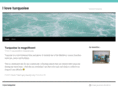 iloveturquoise.net