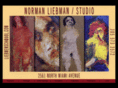 norman-liebman-studio.com