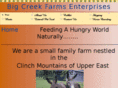 bigcreekfarms.com