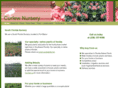 curlewnursery.com