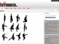 fullmonte.com