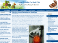 homeremediesforbackpain.com