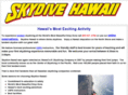 islandskydiving.com