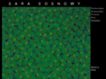 sarasosnowy.com