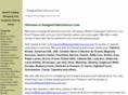 designerfabricsource.com