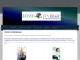 expatsynergy.com