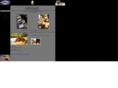 garnishgourmetcatering.com