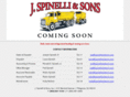jspinelliandsons.com