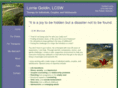 lorriegoldin.com
