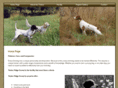 timberridgekennels.org