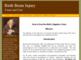 birth-brain-injury.org