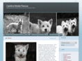 carolinawestierescue.com